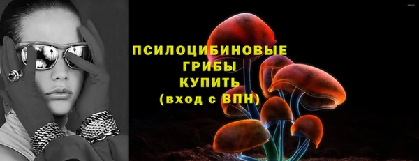 экстази Белокуриха