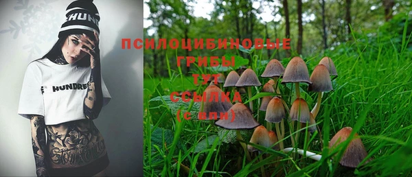 экстази Белокуриха