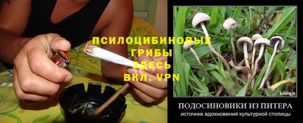 mix Богданович