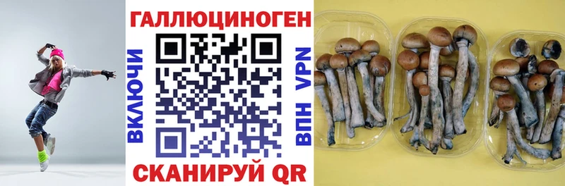 что такое Бузулук Галлюциногенные грибы ЛСД
